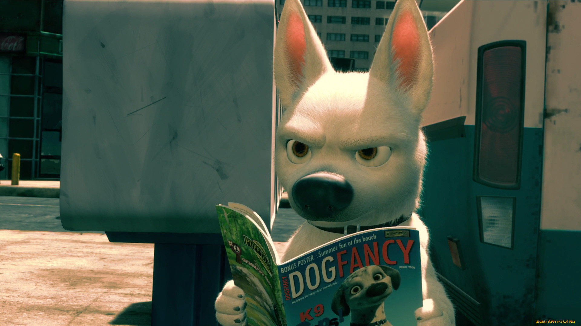 , bolt
